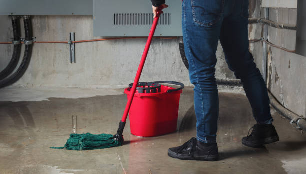 Best Flooded house restoration  in Dresden, OH