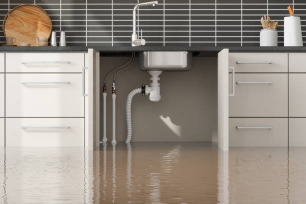 Reliable Dresden, OH Water damage restoration Solutions