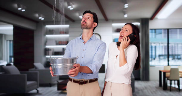 Reliable Dresden, OH Water damage restoration Solutions