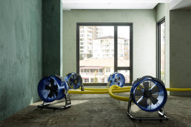 Best Commercial water damage restoration  in Dresden, OH